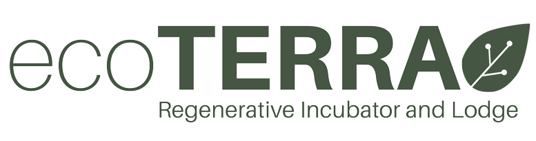 branding-terralux-eco-terra